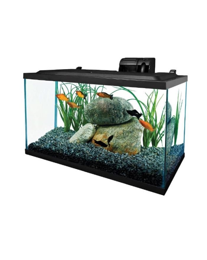 pet-product-more-pets-fish-8-0.jpg